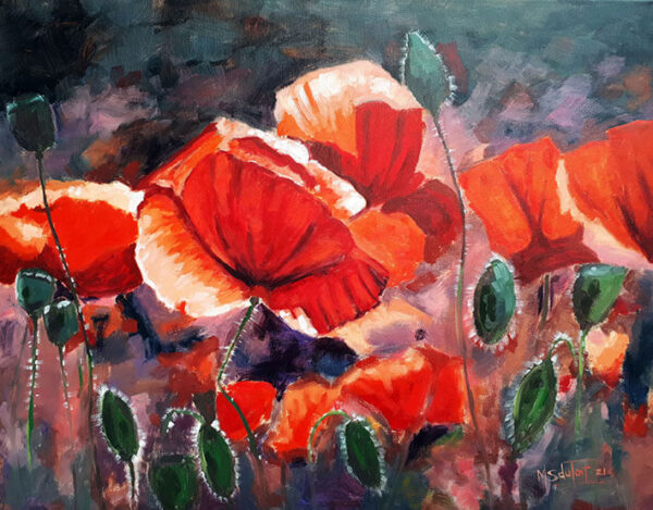 Red Poppies