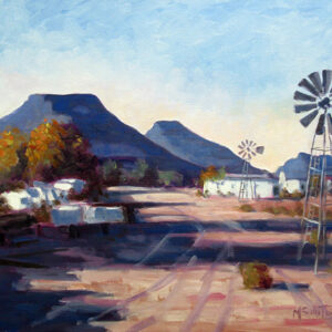 Landscape of Karoo farm