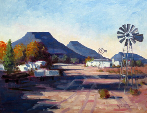 Landscape of Karoo farm