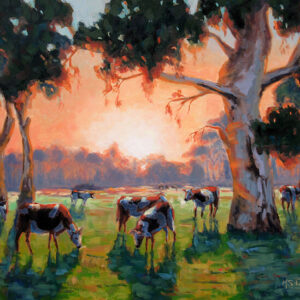 Cattle grazing at sunrise