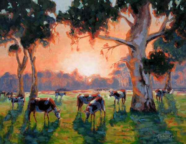 Cattle grazing at sunrise